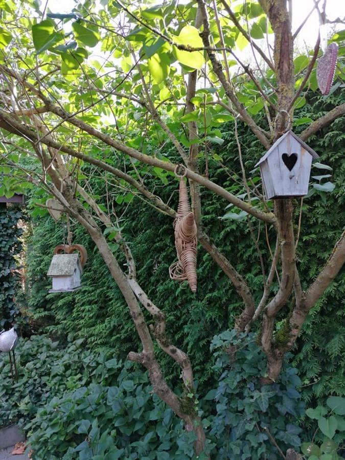 Luxe Wellness B&B Tim Torfs ***** Beringen Luaran gambar